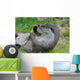 Playful Otter Wall Decal