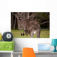 Kangaroo Mom With Baby Wall Decal