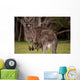 Kangaroo Mom With Baby Wall Decal