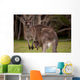 Kangaroo Mom With Baby Wall Decal