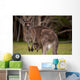 Kangaroo Mom With Baby Wall Decal