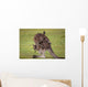 Kangaroo Mother With Baby Wall Decal