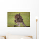 Kangaroo Mother With Baby Wall Decal