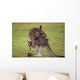 Kangaroo Mother With Baby Wall Decal