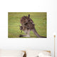 Kangaroo Mother With Baby Wall Decal