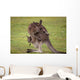 Kangaroo Mother With Baby Wall Decal