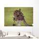 Kangaroo Mother With Baby Wall Decal