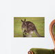 Kangaroo Female With Baby Wall Decal
