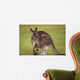 Kangaroo Female With Baby Wall Decal