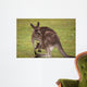 Kangaroo Female With Baby Wall Decal
