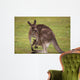 Kangaroo Female With Baby Wall Decal