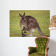 Kangaroo Female With Baby Wall Decal