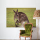 Kangaroo Female With Baby Wall Decal
