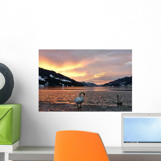 Schwane Im Winter Am Wall Decal