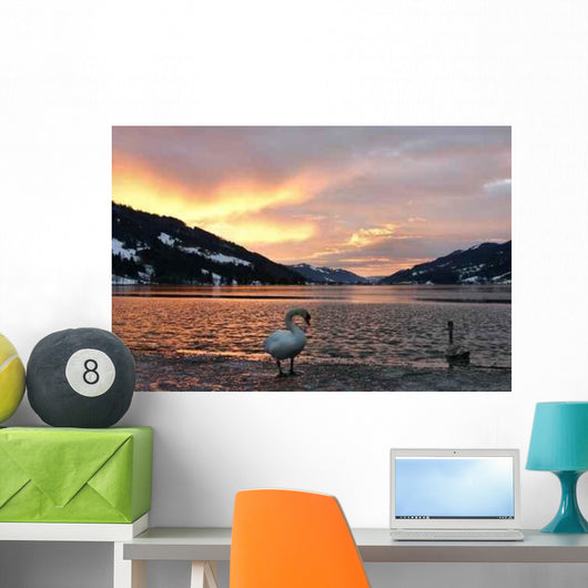 Schwane Im Winter Am Wall Decal