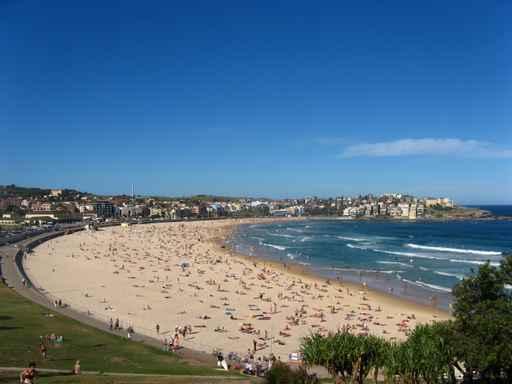 Bondi Beach Wall Decal