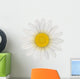 Daisy Flower Wall Decal