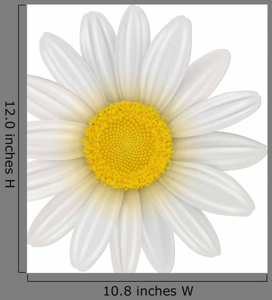 Daisy Flower Wall Decal
