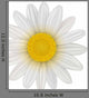 Daisy Flower Wall Decal