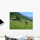 K He Auf Almwiese Wall Decal