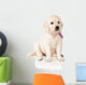 Sitting Golden Retriever Puppy Wall Decal
