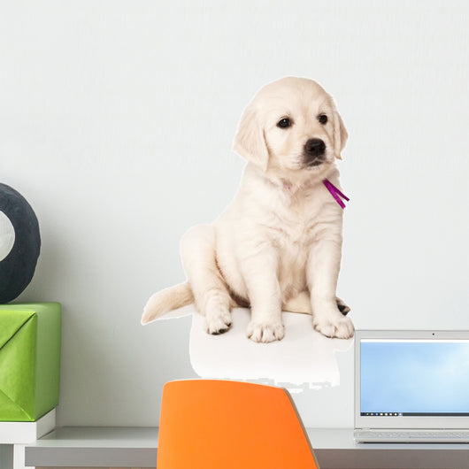 Sitting Golden Retriever Puppy Wall Decal