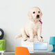 Sitting Golden Retriever Puppy Wall Decal