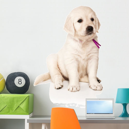 Sitting Golden Retriever Puppy Wall Decal