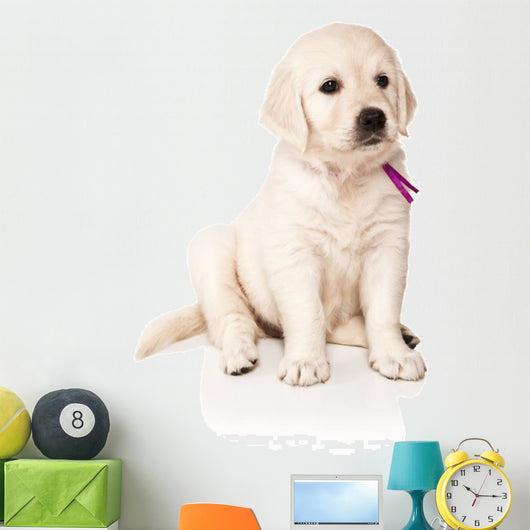 Sitting Golden Retriever Puppy Wall Decal