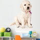 Sitting Golden Retriever Puppy Wall Decal