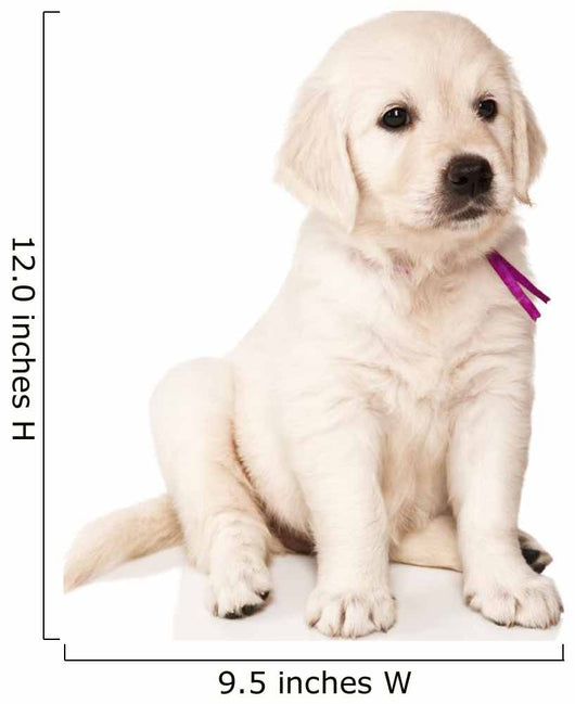 Sitting Golden Retriever Puppy Wall Decal