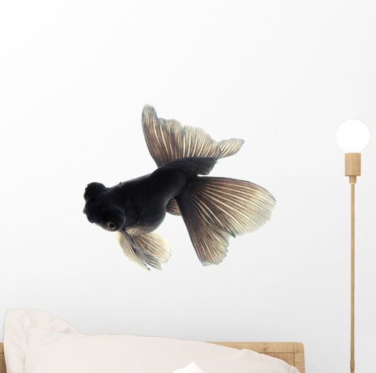 Black Goldfish White Wall Decal