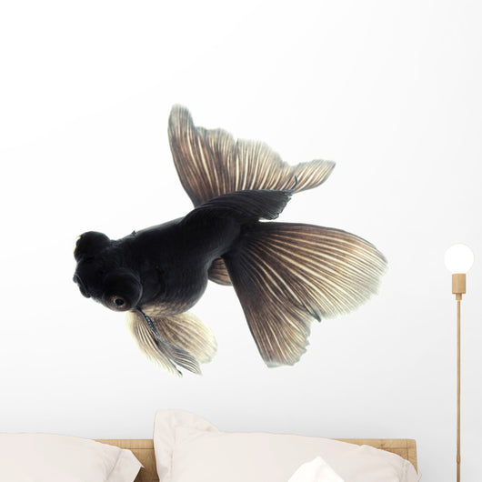 Black Goldfish White Wall Decal