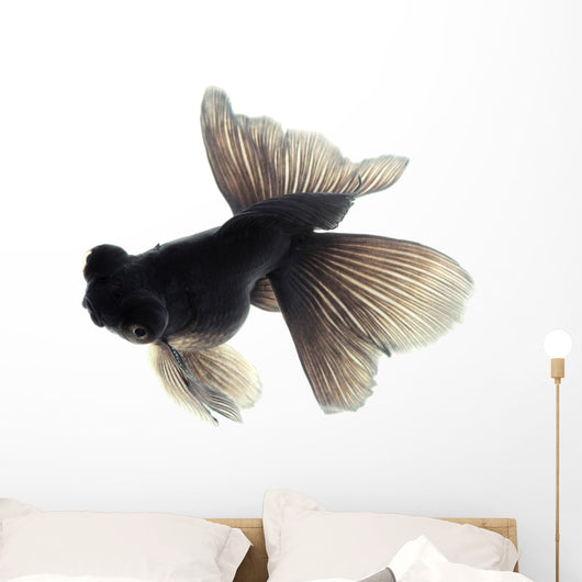 Black Goldfish White Wall Decal