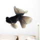 Black Goldfish White Wall Decal