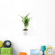 Goldfruchtpalme Wall Decal
