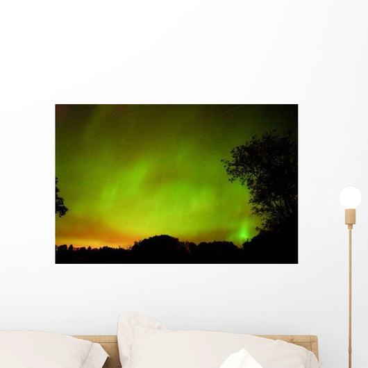 Green Northern Lights Over a Forest Wall Decal