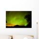 Green Northern Lights Over a Forest Wall Decal