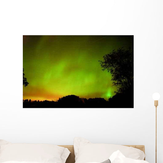 Green Northern Lights Over a Forest Wall Decal