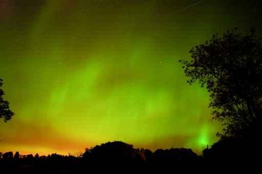 Green Northern Lights Over a Forest Wall Decal