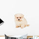 Sitting Pomeranian Spitz Puppy Wall Decal