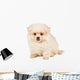 Sitting Pomeranian Spitz Puppy Wall Decal