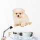Sitting Pomeranian Spitz Puppy Wall Decal