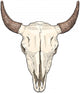 Cow Skull Vector Sketch Wall Decal