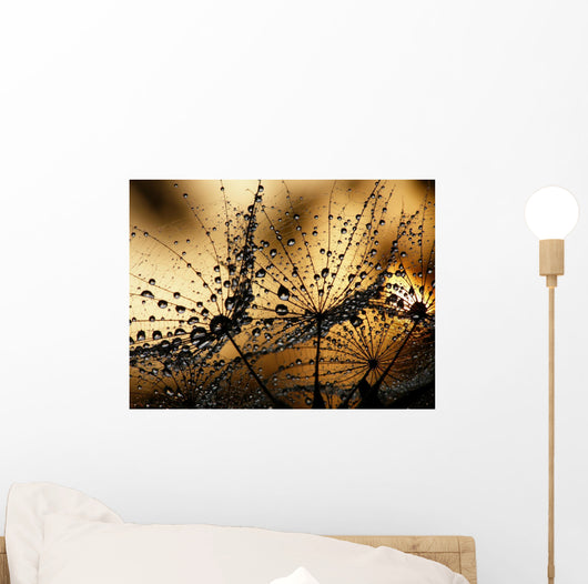 Wet Dandelion Seed Silhouette Wall Decal