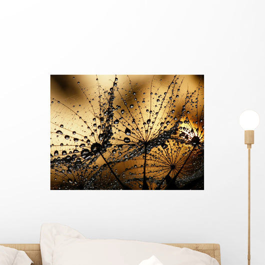 Wet Dandelion Seed Silhouette Wall Decal