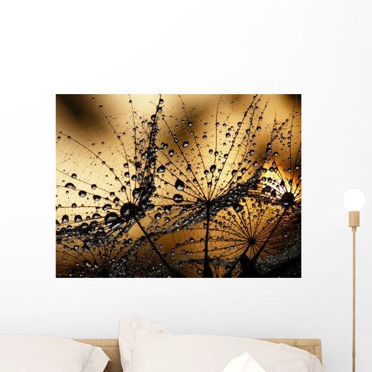 Wet Dandelion Seed Silhouette Wall Decal