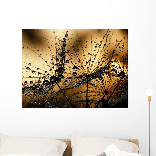 Wet Dandelion Seed Silhouette Wall Decal