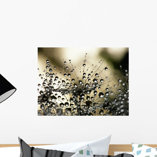 Wet Dandelion Seed Wall Decal
