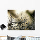 Wet Dandelion Seed Wall Decal